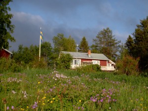 Att hålla ögonen på vid husköp 1